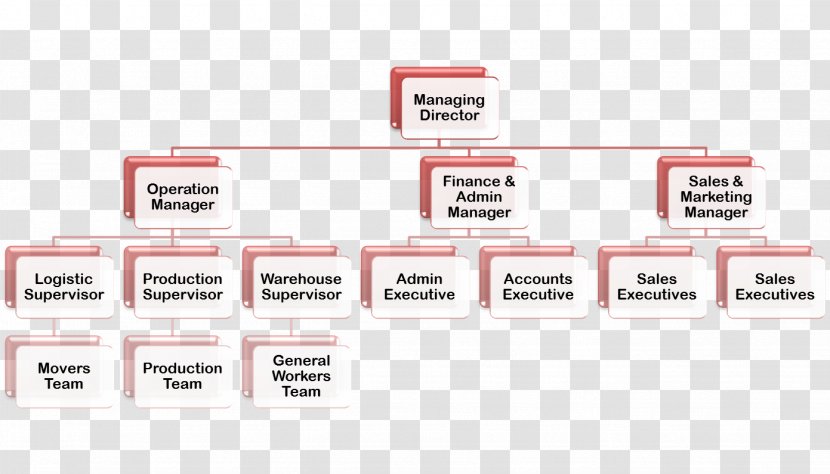 Logistics Organization Penang - Brand - Organizational Chart Transparent PNG