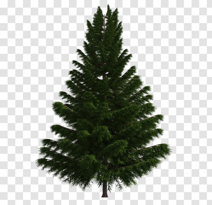 Artificial Christmas Tree Fir - Pine Transparent PNG