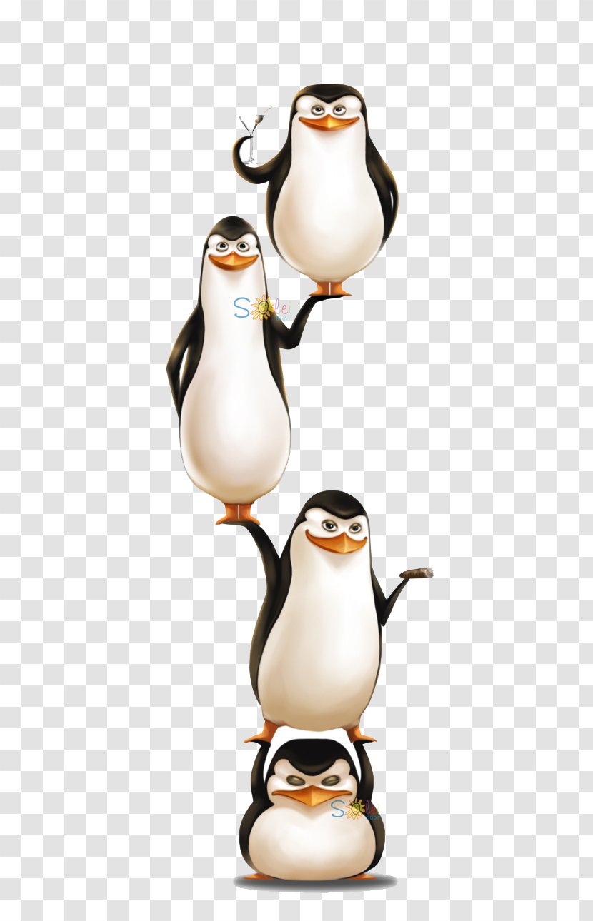 Penguin Skipper Kowalski Madagascar DreamWorks Animation - Small Appliance Transparent PNG