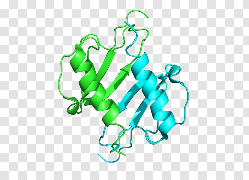CXCL5 Chemokine Receptor BRCA1 Inflammation - Structure Transparent PNG