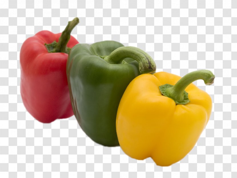 Bell Pepper Fruit Eating Vegetable Sweetness - Spice - Color Transparent PNG