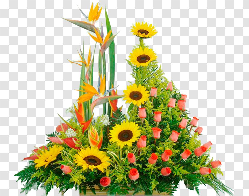Encanto Floral Flower Floristry Design Wedding - Flowering Plant Transparent PNG