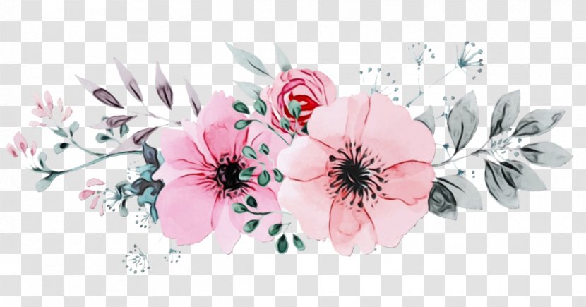 Pink Flower Petal Plant Blossom - Anemone - Cut Flowers Transparent PNG
