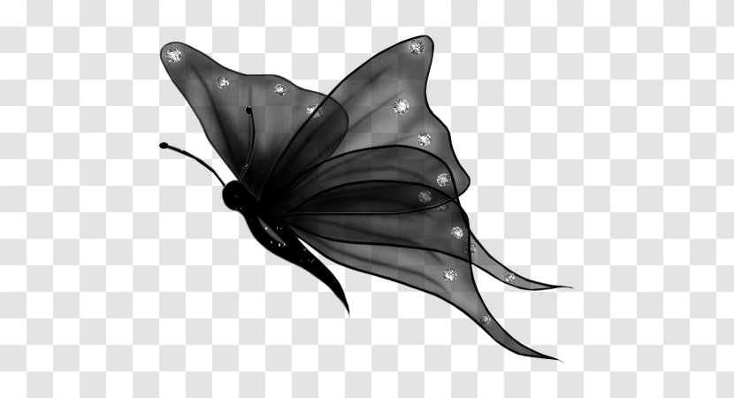 Butterfly Desktop Wallpaper Clip Art - Black And White Transparent PNG