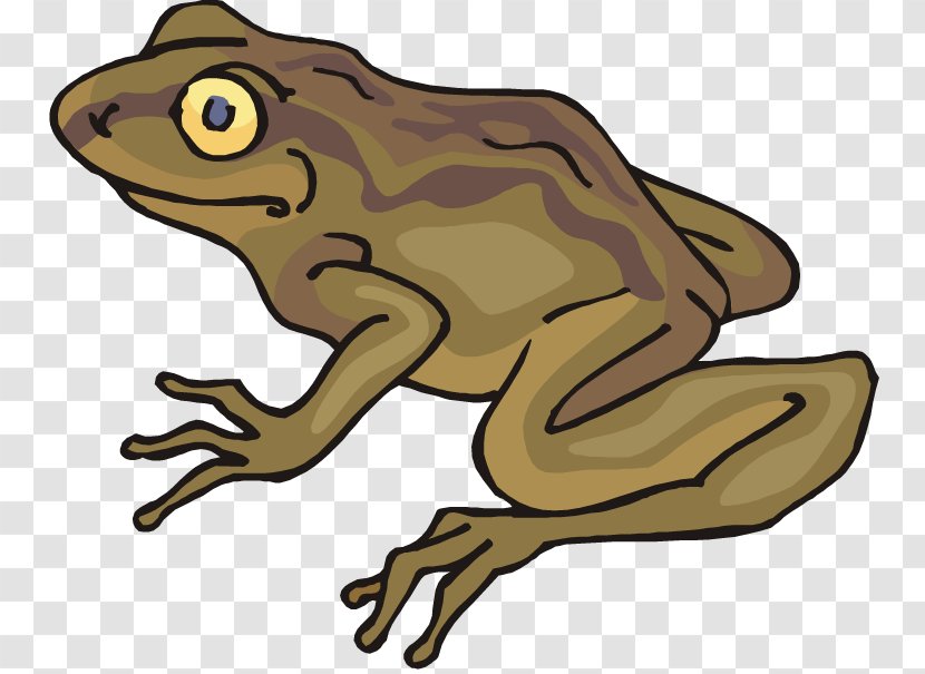 Frog And Toad All Year Clip Art - Amphibian - Ugly Cliparts Transparent PNG