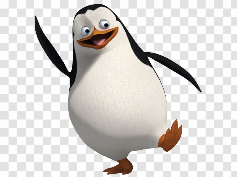 Penguin Madagascar Animation Drawing Film - Beak - Sulley Transparent PNG