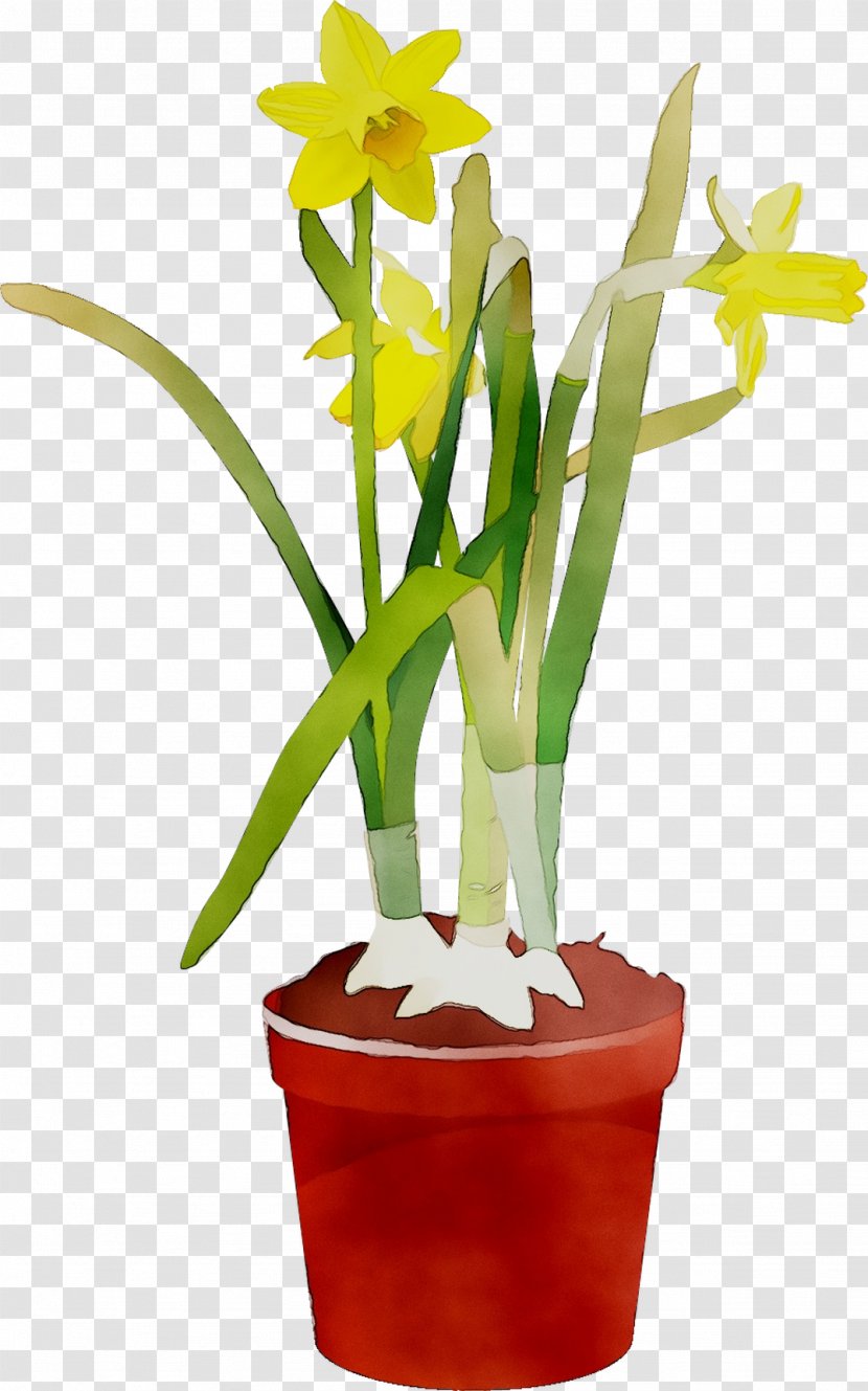 Cattleya Orchids Cut Flowers Floristry Flowerpot Houseplant - Plant - Narcissus Transparent PNG