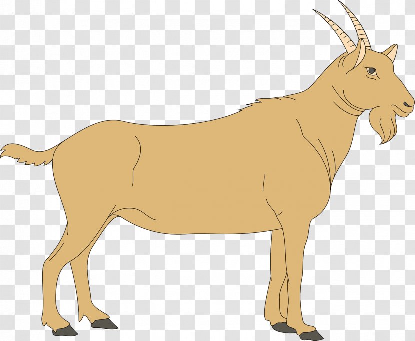 Cattle Antelope Goat Deer Sheep - Like Mammal - Yellow Transparent PNG