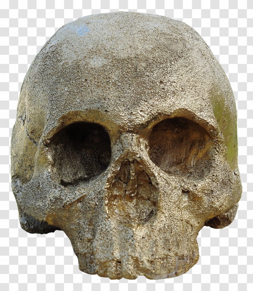 Human Skull Symbolism Skeleton And Crossbones - Totenkopf - Skulls Transparent PNG