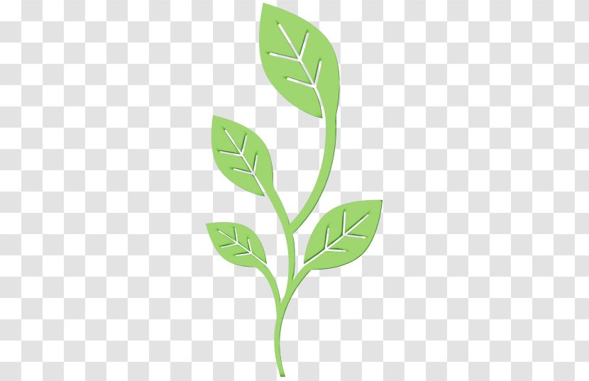 Branch Plant Stem Leaf Font Herb - Plants - Pedicel Arugula Transparent PNG