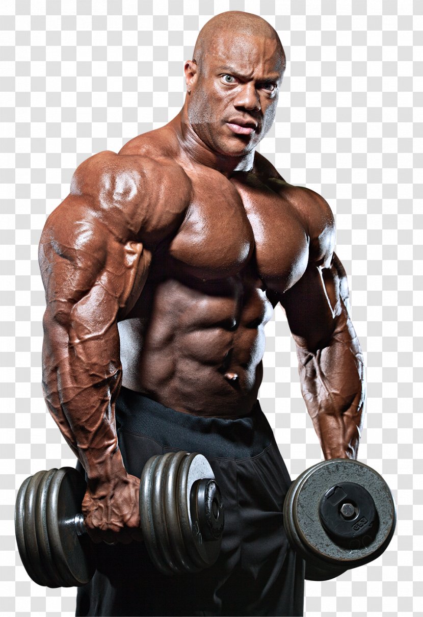 Phil Heath 2017 Mr. Olympia 2016 United States 2013 - Watercolor - Arnold Schwarzenegger Transparent PNG