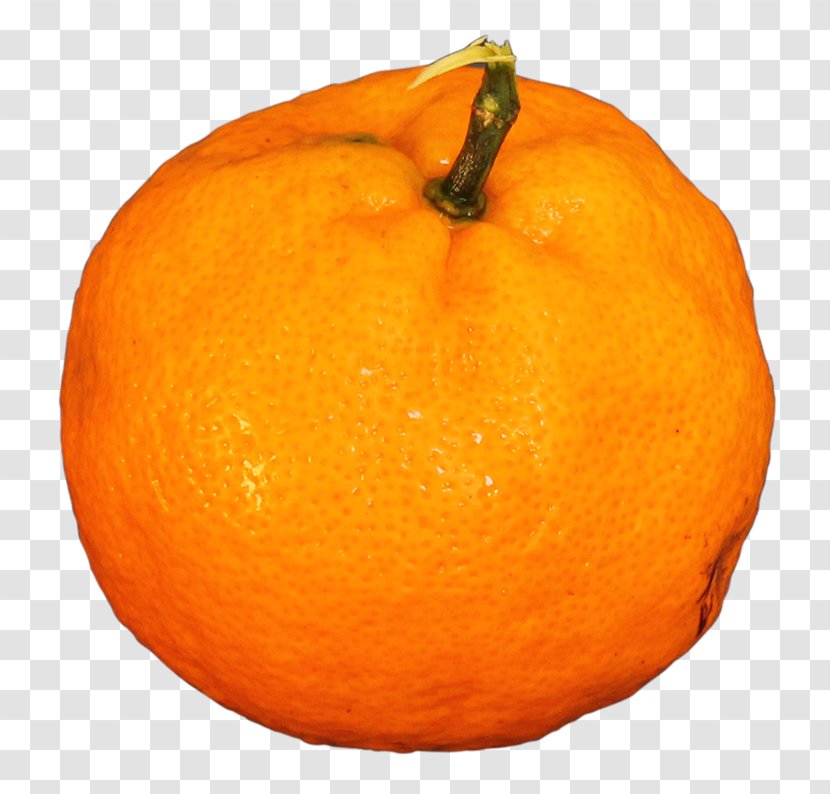 Mandarin Orange Tangerine Tangelo Citron Rangpur - Valencia Transparent PNG