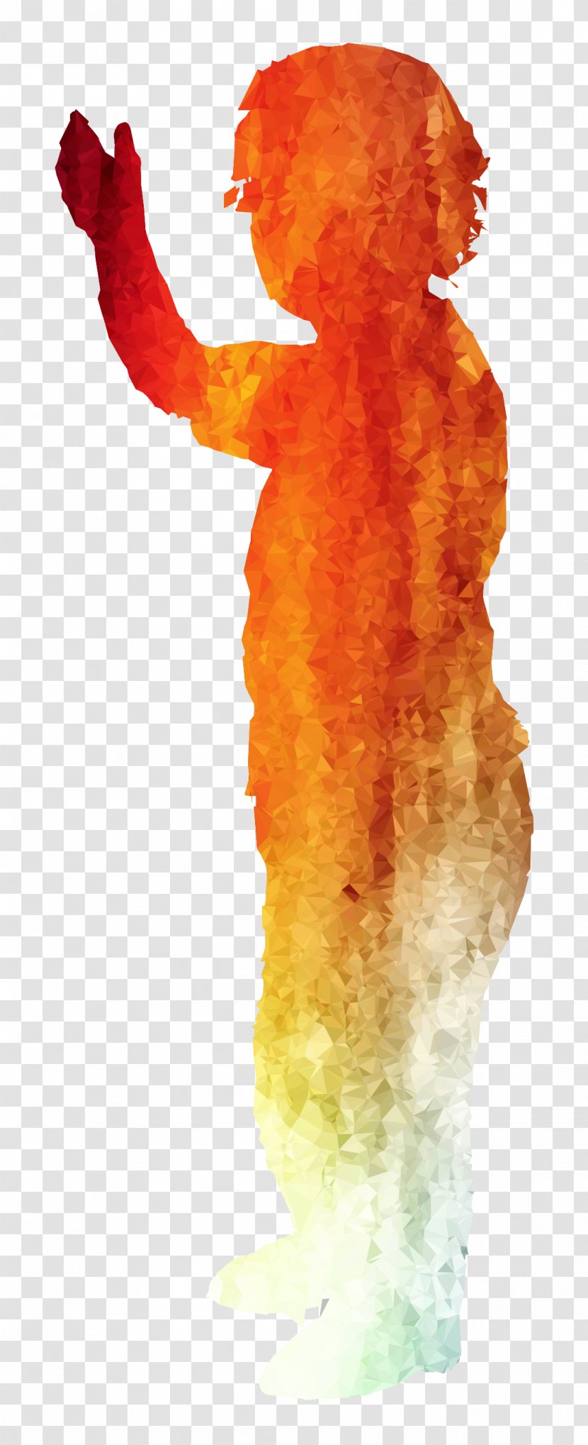 Illustration Organism - Orange Transparent PNG