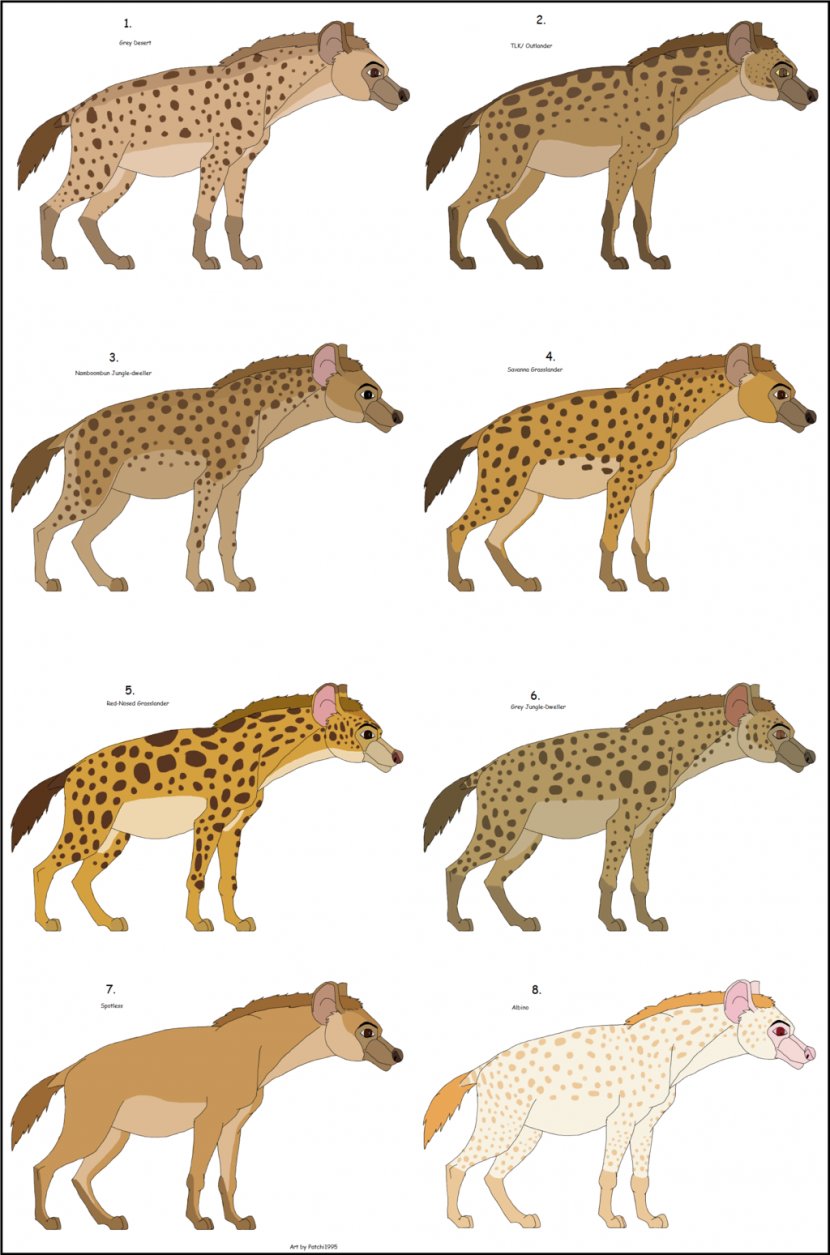 Striped Hyena Cheetah Lion Gray Wolf - African Leopard Transparent PNG