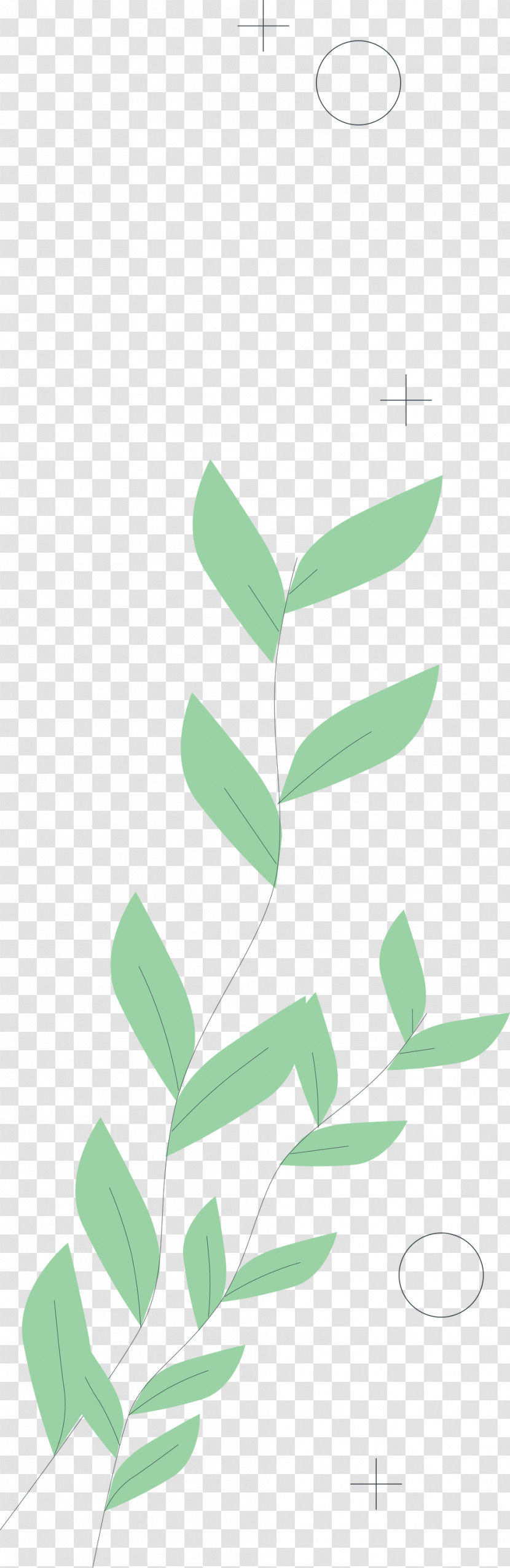 Petal Plant Stem Leaf Green Pattern Transparent PNG