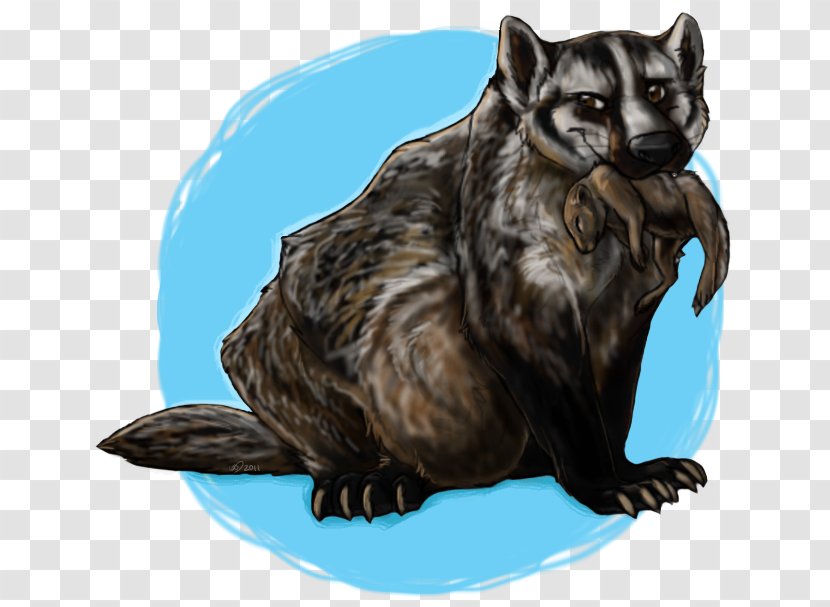 Viverrids Raccoon Whiskers Fur Snout Transparent PNG