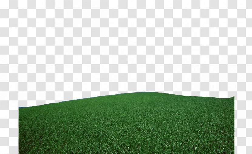 Artificial Turf Rectangle Green Pattern - Grass Transparent PNG