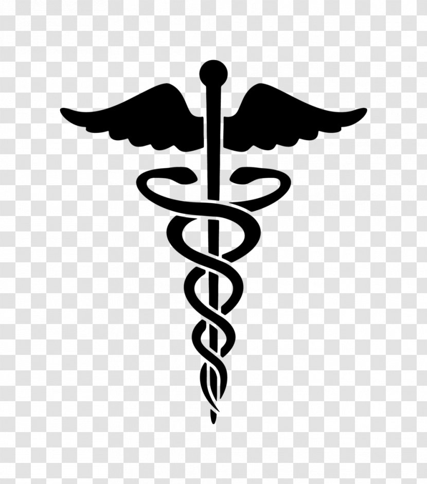 Health Care Family Medicine Staff Of Hermes Physician - Symbol - Medical Billing Transparent PNG