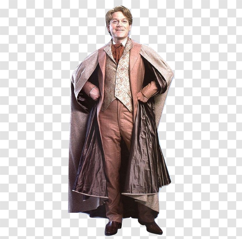 Gilderoy Lockhart Harry Potter And The Chamber Of Secrets Ron Weasley Professor Severus Snape - Hogwarts - Owl Transparent PNG