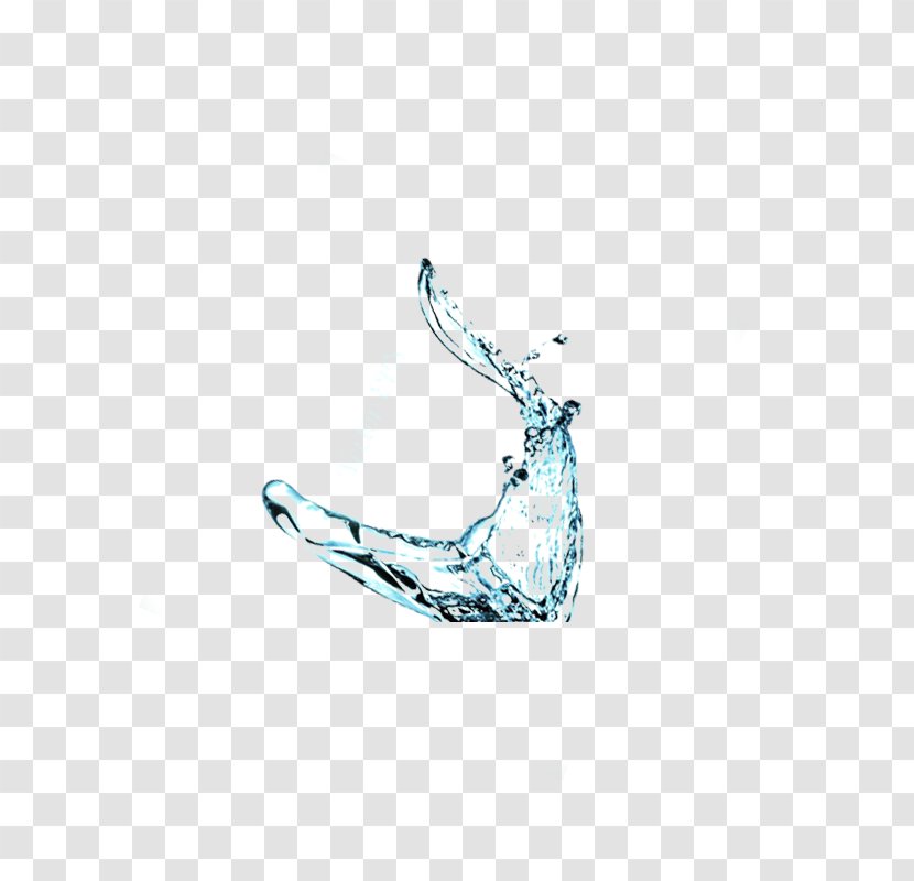 Designer - Water Transparent PNG