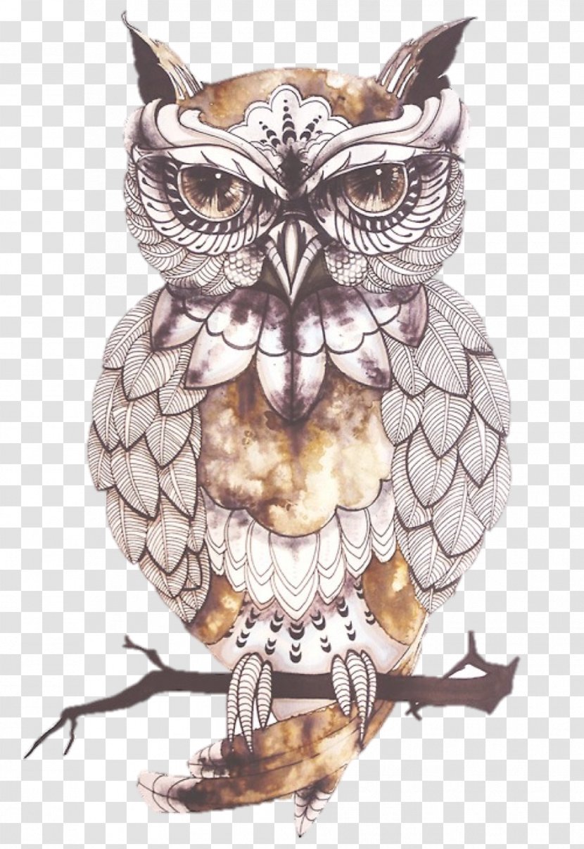 Blue Owl Tattoo Flash Artist - Little Transparent PNG