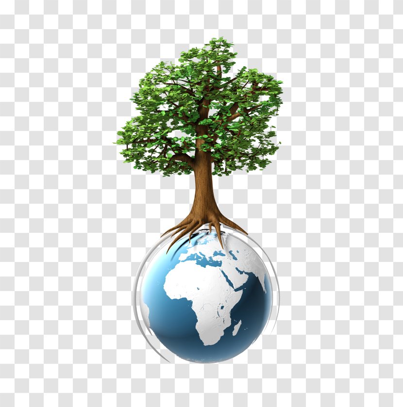 Natural Environment Environmental Protection Reducing Waste Nature Conservation - Plant - World Transparent PNG