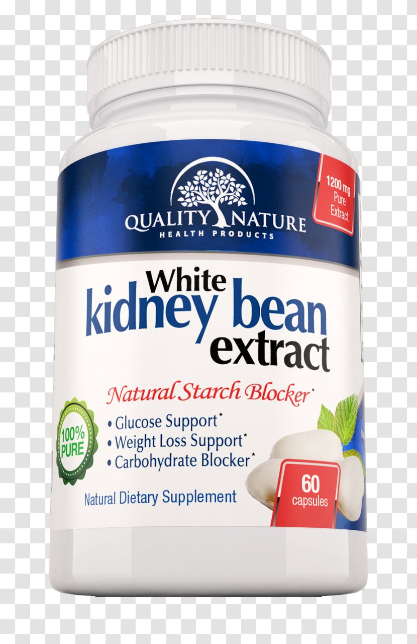 Dietary Supplement Carbohydrate Weight Loss Extract Kidney Bean - Ketosis Transparent PNG