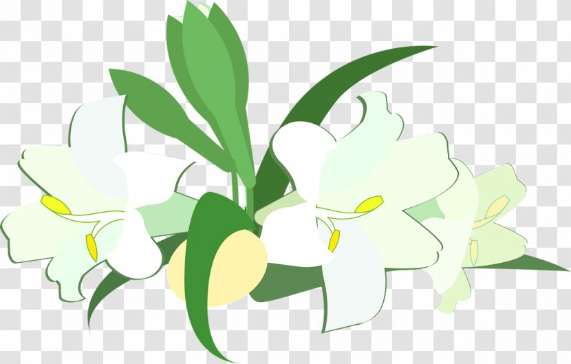 Floral Design Illustration Cut Flowers Clip Art - Computer - Plant Stem Transparent PNG
