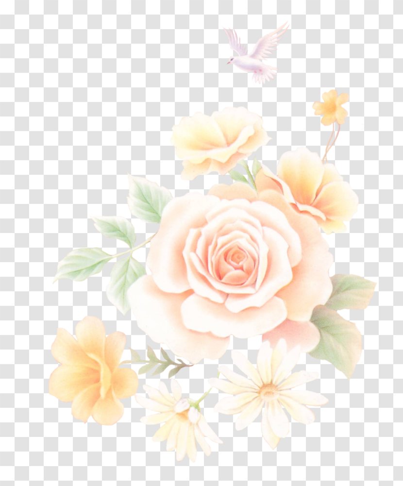 Garden Roses Cabbage Rose Floral Design Cut Flowers - Flowering Plant - Flower Transparent PNG