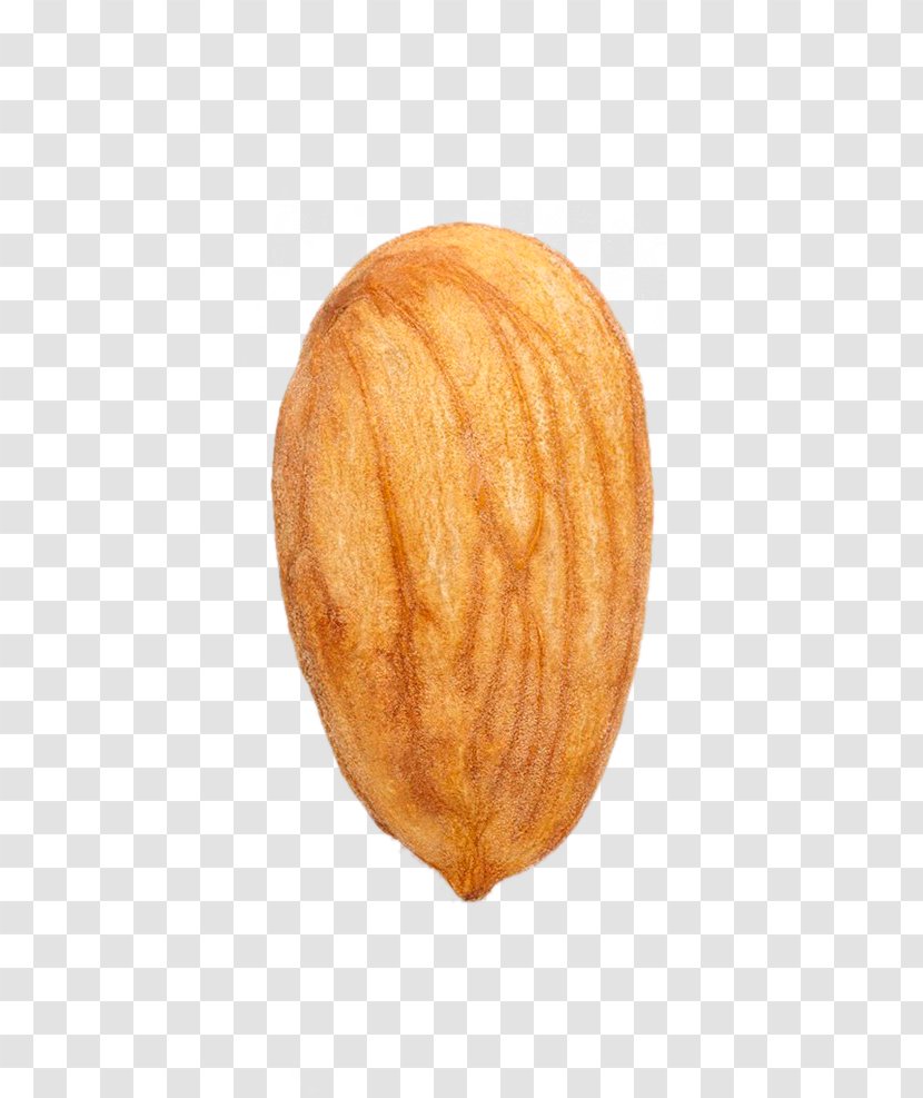 Almond Nut Download Dried Fruit - Google Images - Pulp Transparent PNG