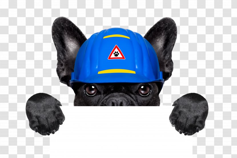 Golden Retriever Puppy Dog Daze Industrial Stock Photography Handyman - Creative Holding Signs Transparent PNG