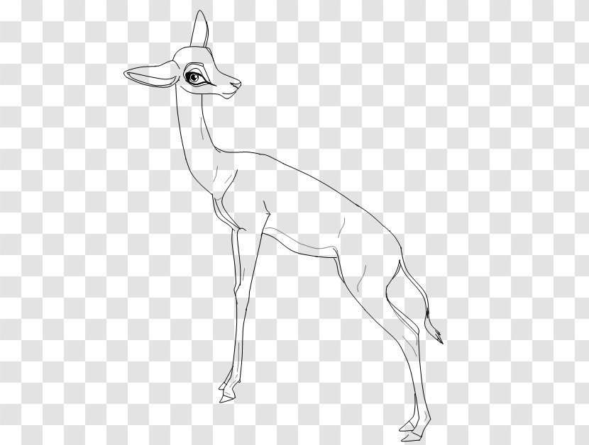 Springbok Gazelle Line Art Deer Camel - Mammal Transparent PNG