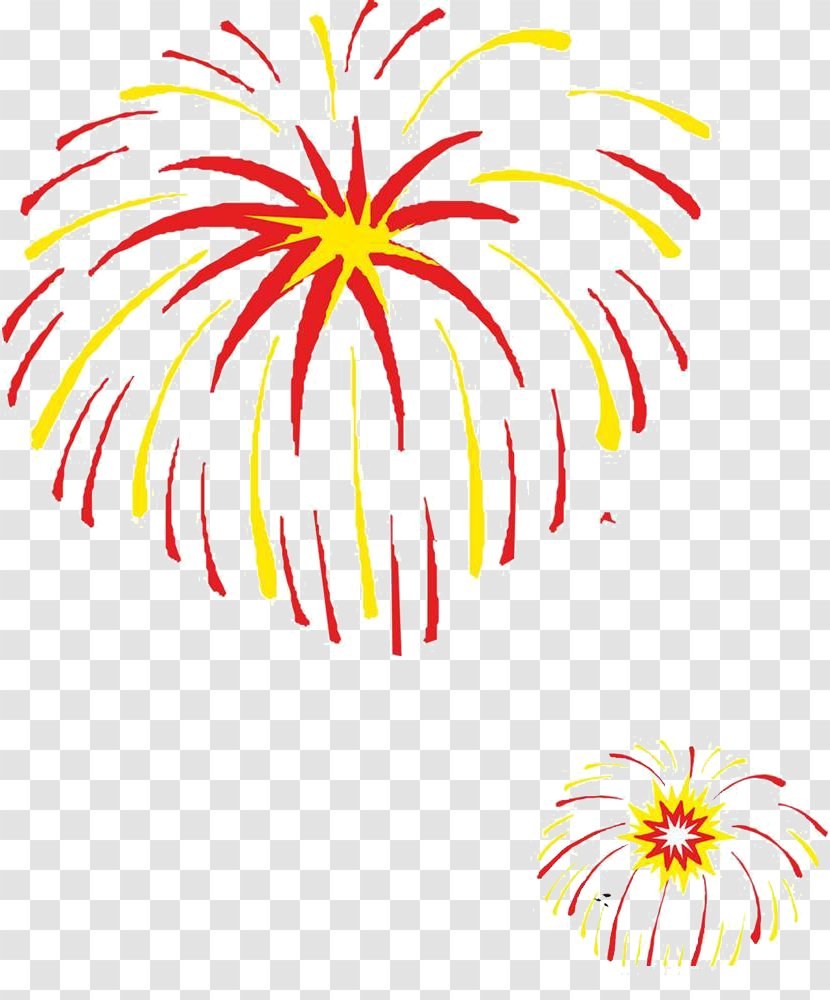 Pyrotechnics Animation Clip Art - Point - Vector Fireworks Transparent PNG
