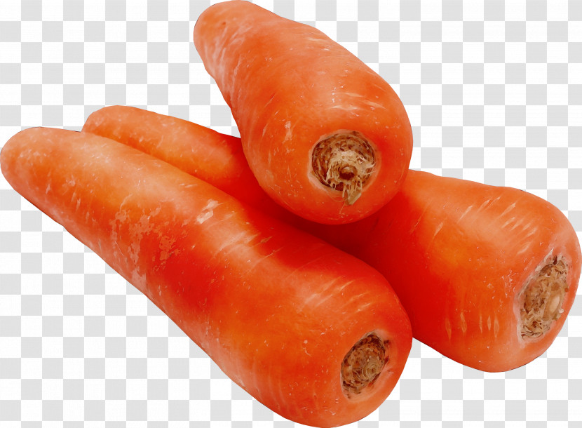 Carrot Food Vegetable Root Vegetable Cuisine Transparent PNG