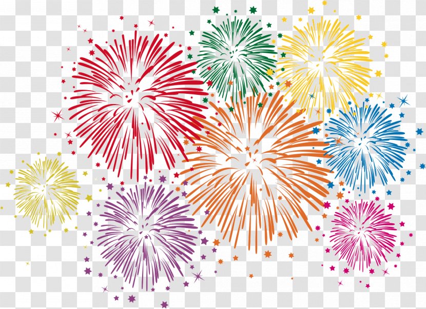 Fireworks Royalty-free Stock Photography - Flowering Plant Transparent PNG