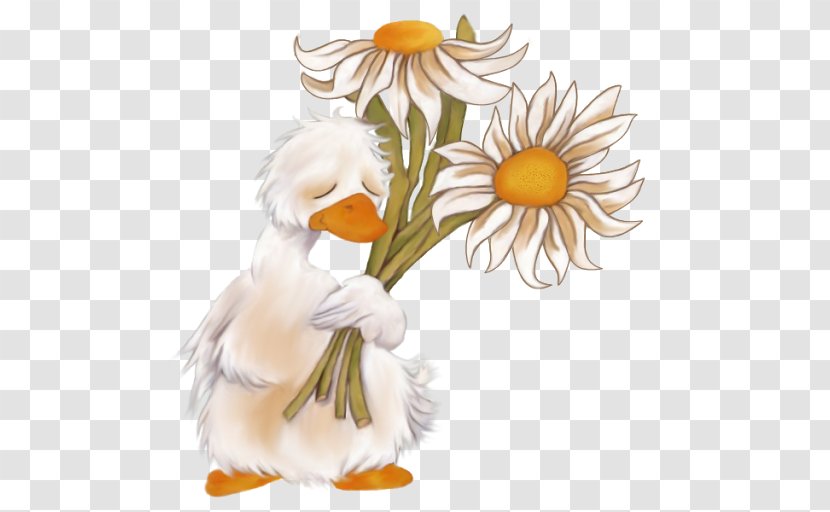 Duck Clip Art Image GIF Chicken - Wish Transparent PNG