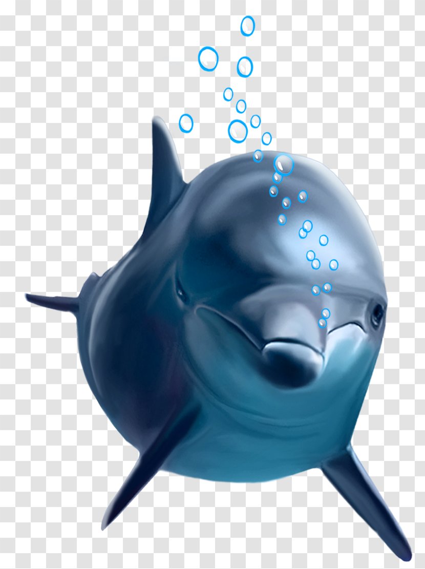 Common Bottlenose Dolphin - Cobalt Blue Transparent PNG