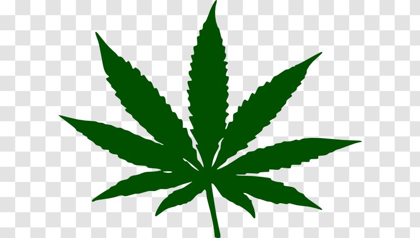 Hash, Marihuana & Hemp Museum Cannabis Smoking Leaf Clip Art - Hashish - Flower Weeds Cliparts Transparent PNG