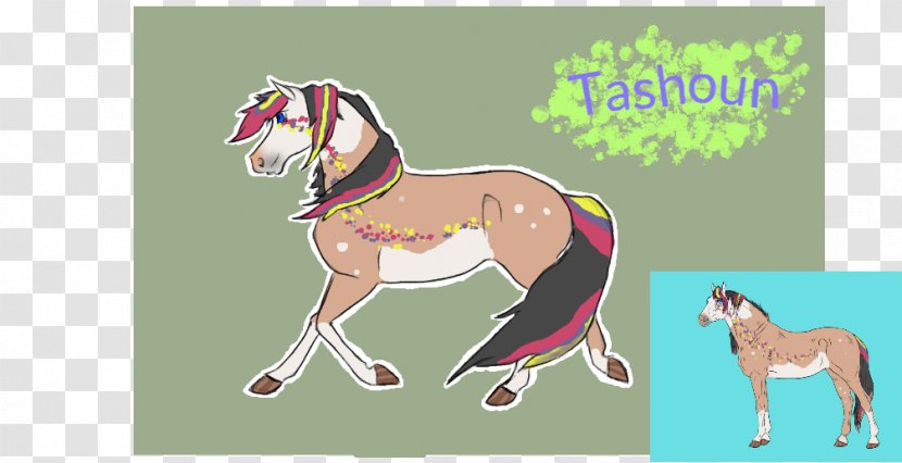 Pony Mustang Foal Stallion Halter - Fauna Transparent PNG