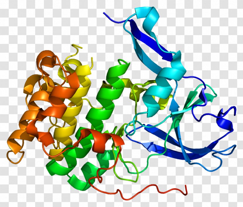 Ribosomal Protein S6 Kinase RPS6KA5 - P70s6 1 - Px Domain Transparent PNG