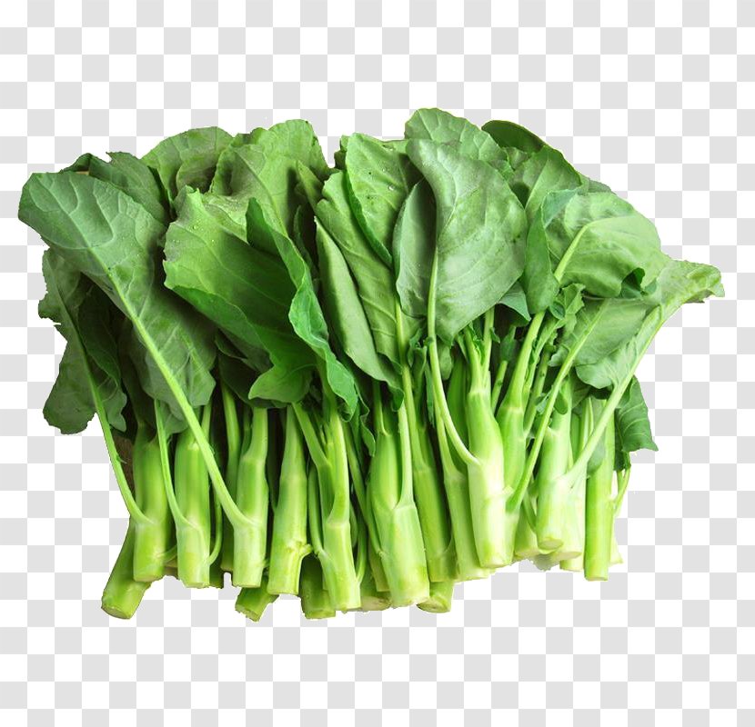 Chinese Broccoli Brassica Juncea Vegetable Kale - Cabbage - Stems And Leaves Transparent PNG