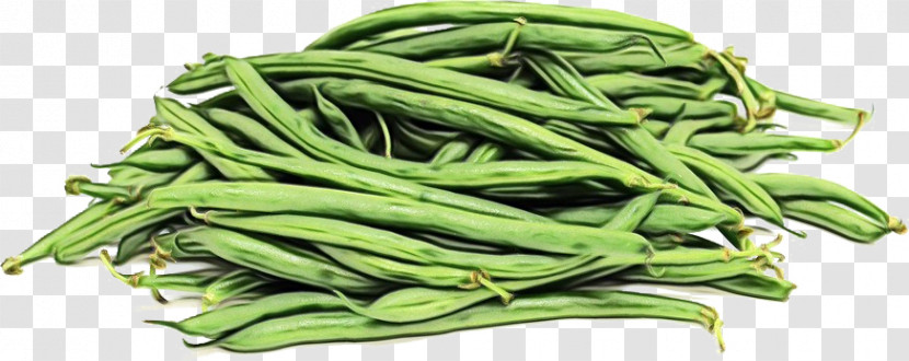 Green Beans Vegetable Bean Lima Bean Commodity Transparent PNG