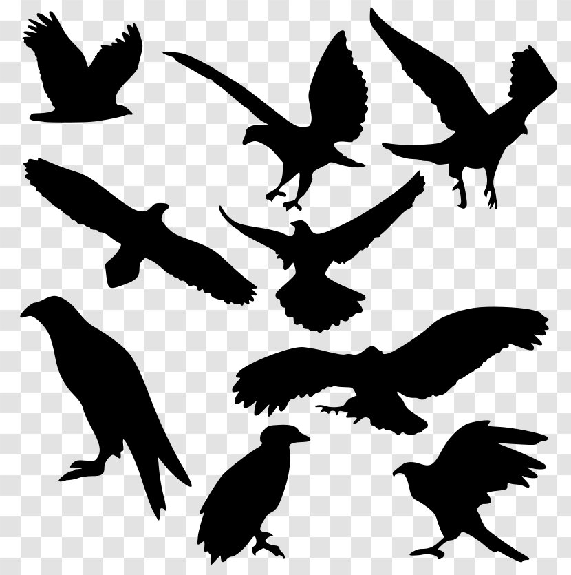 Silhouette Drawing Clip Art - Eagle Transparent PNG