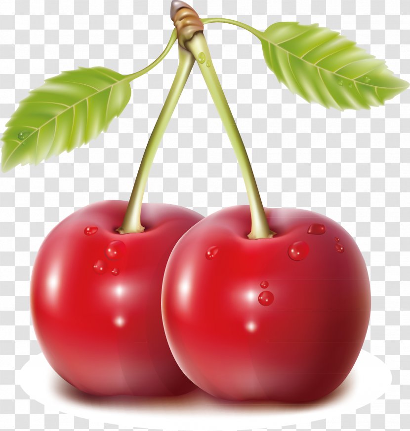 Cherry Blueberry Fruit - Diet Food - Decoration Vector Transparent PNG