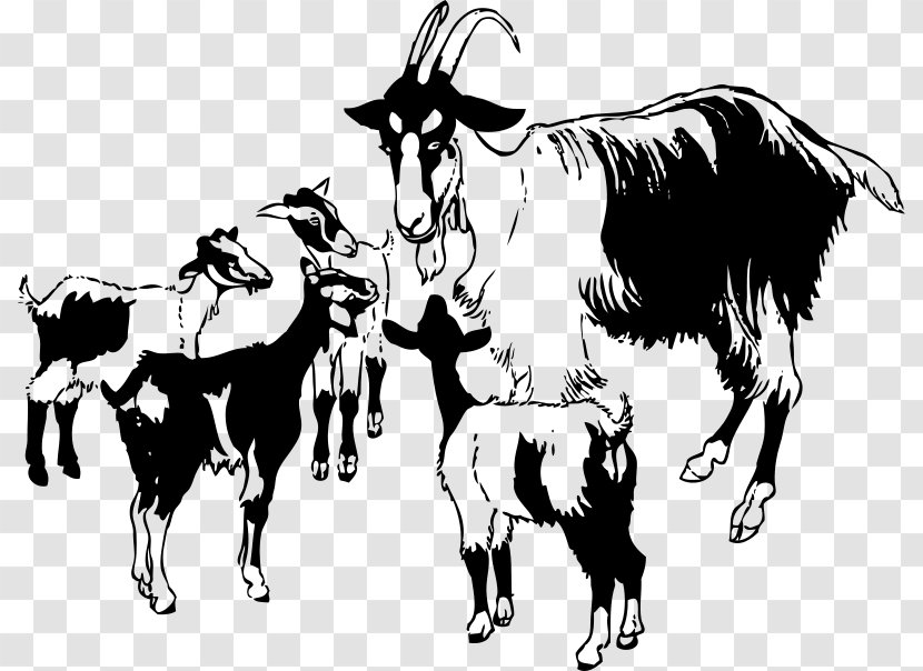 American Lamancha Goat Clip Art Boer Black Bengal Illustration - Wildlife - Blackandwhite Transparent PNG