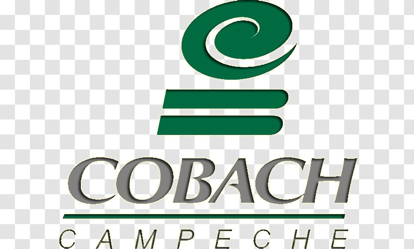 Cobacam Logo Colegio De Bachilleres Campeche COBACH CAMPECHE - Green Transparent PNG