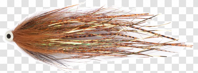Invertebrate Pest Eyebrow Grasses - Organism - Pike Flies Transparent PNG