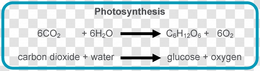 Photosynthesis Equation Chloroplast Light-dependent Reactions Symbiogenesis - Chemical Reaction Transparent PNG