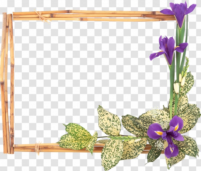 Picture Frames Flower Window - Powerpoint Frame Transparent PNG