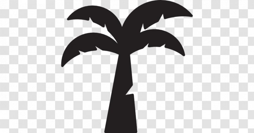 Coconut Water Clip Art Palm Oil Trees - Woody Plant Transparent PNG